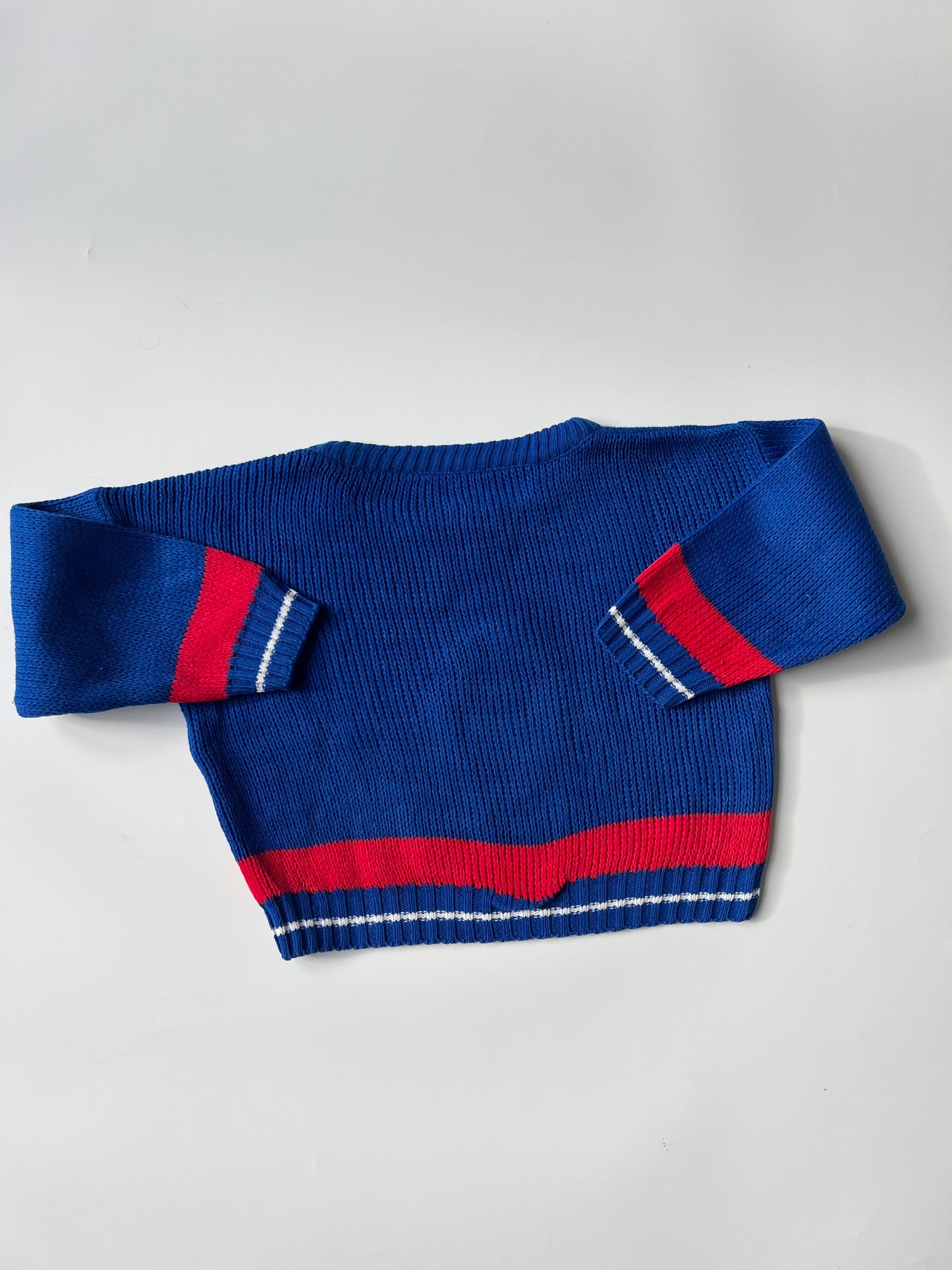 Vintage Big Bird Sweatshirt Rare! 4 Years