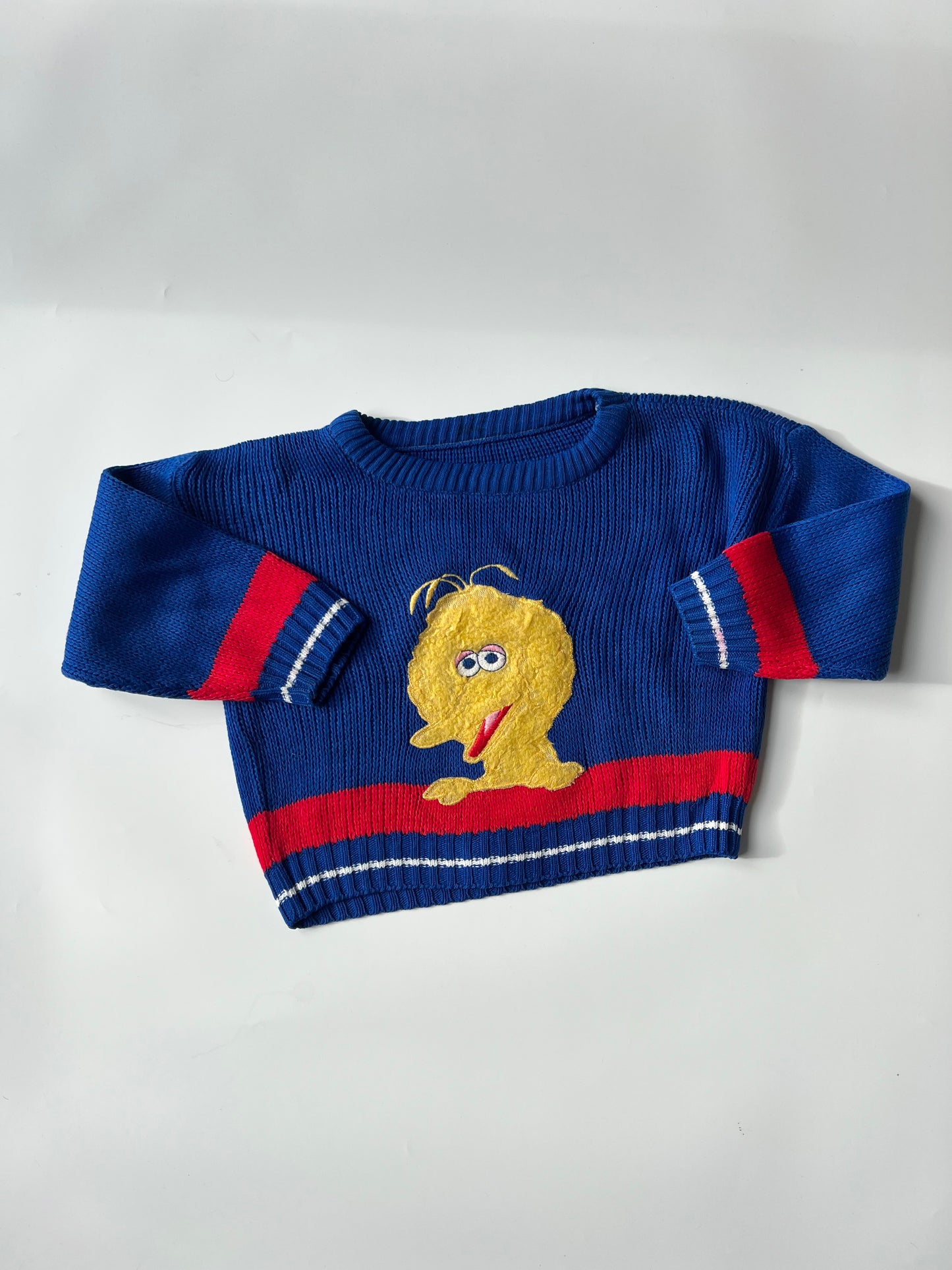 Vintage Big Bird Sweatshirt Rare! 4 Years