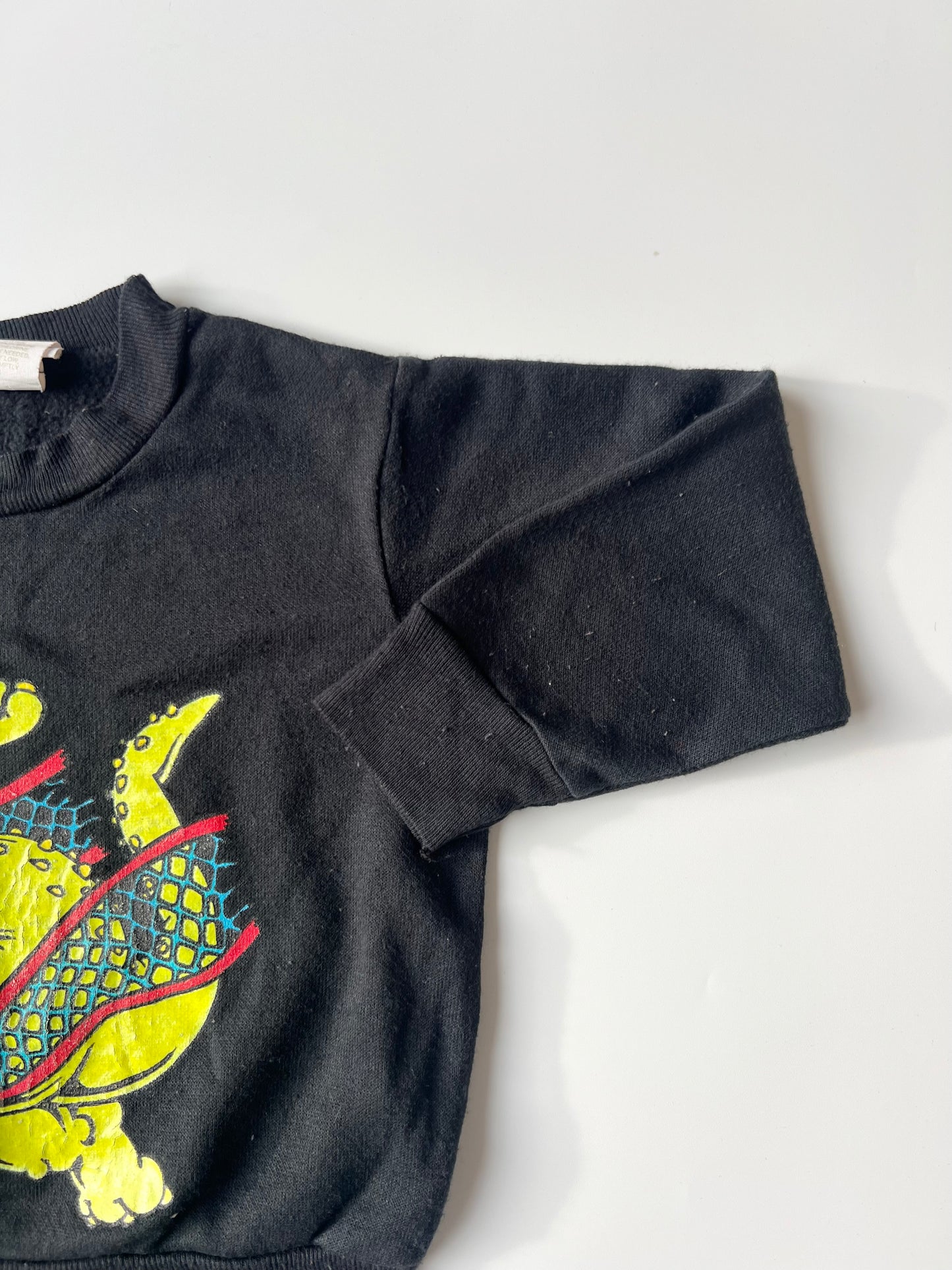Vintage Dino Sweatshirt 2 Years