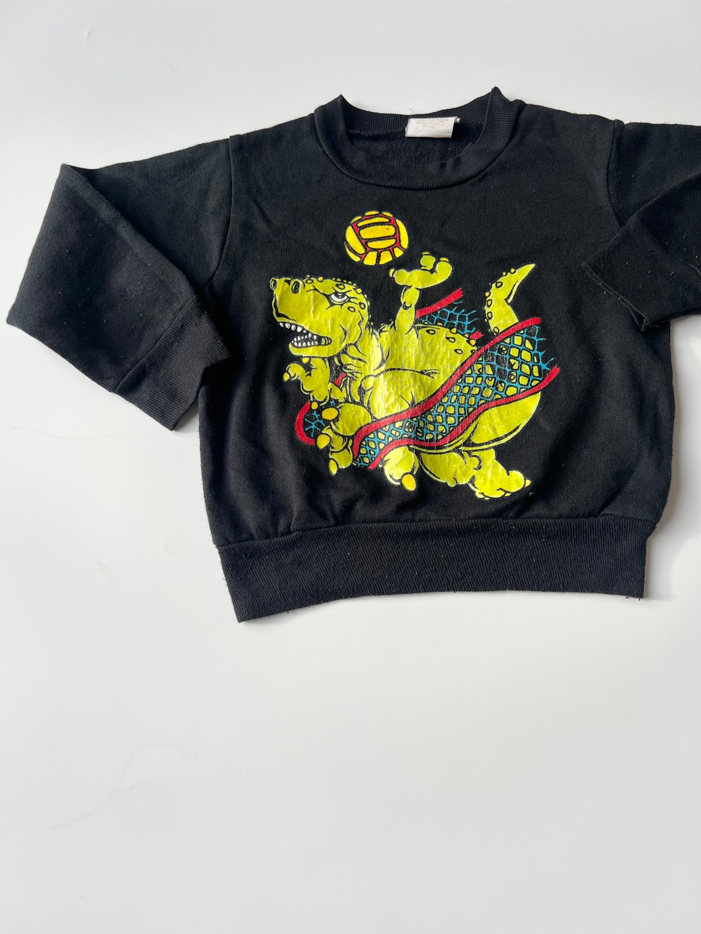 Vintage Dino Sweatshirt 2 Years