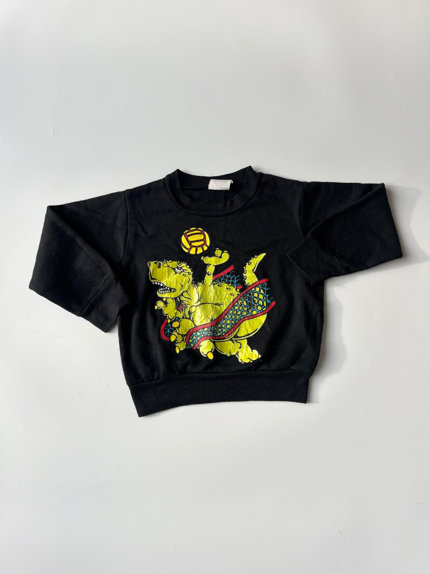 Vintage Dino Sweatshirt 2 Years