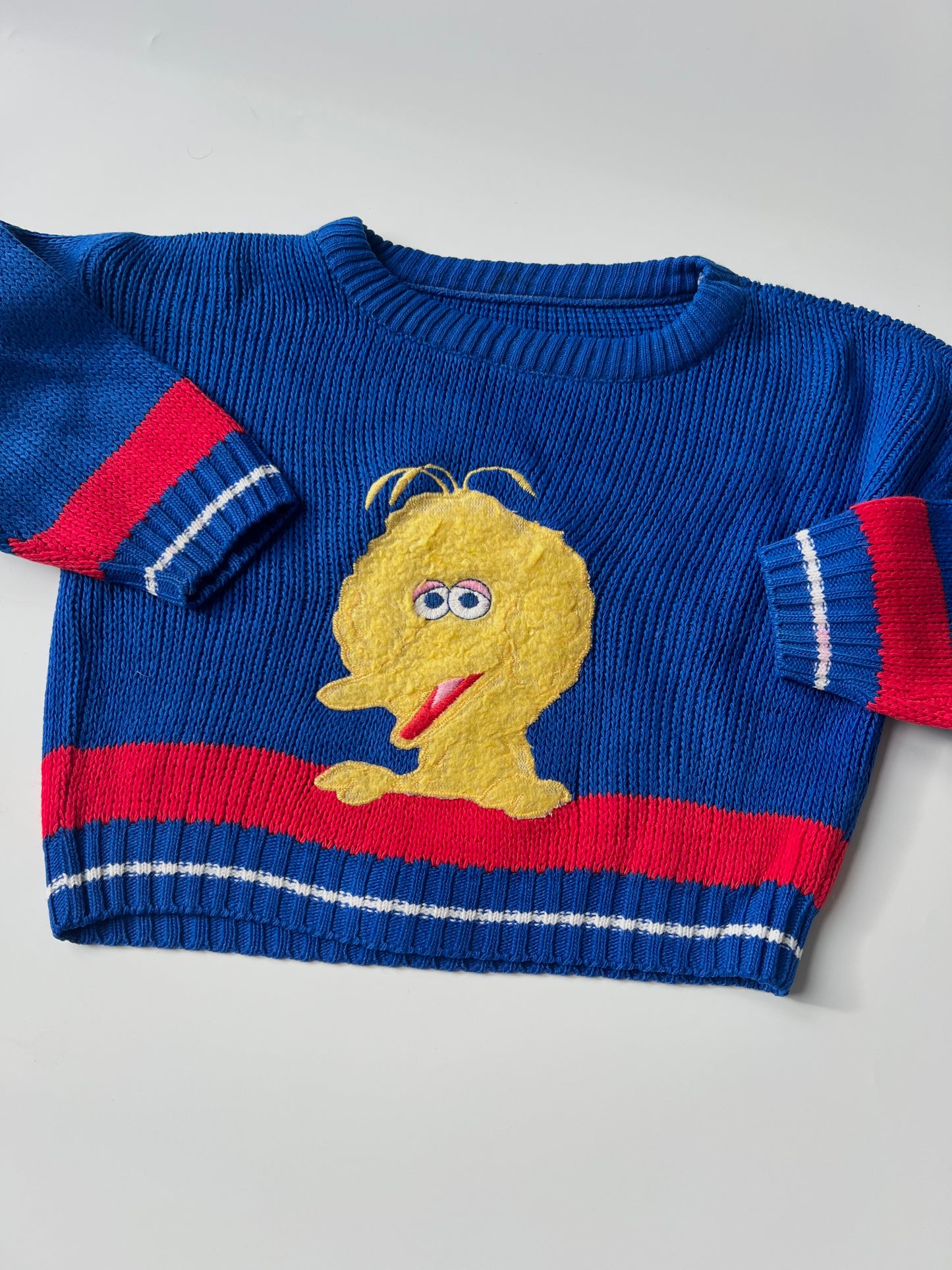 Vintage Big Bird Sweatshirt Rare! 4 Years